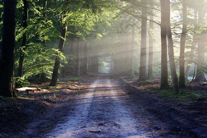 Secret Trails