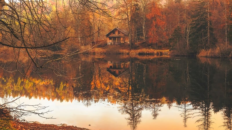 Enchanted Forest Cabin