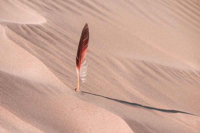 Desert Oasis Hideaway